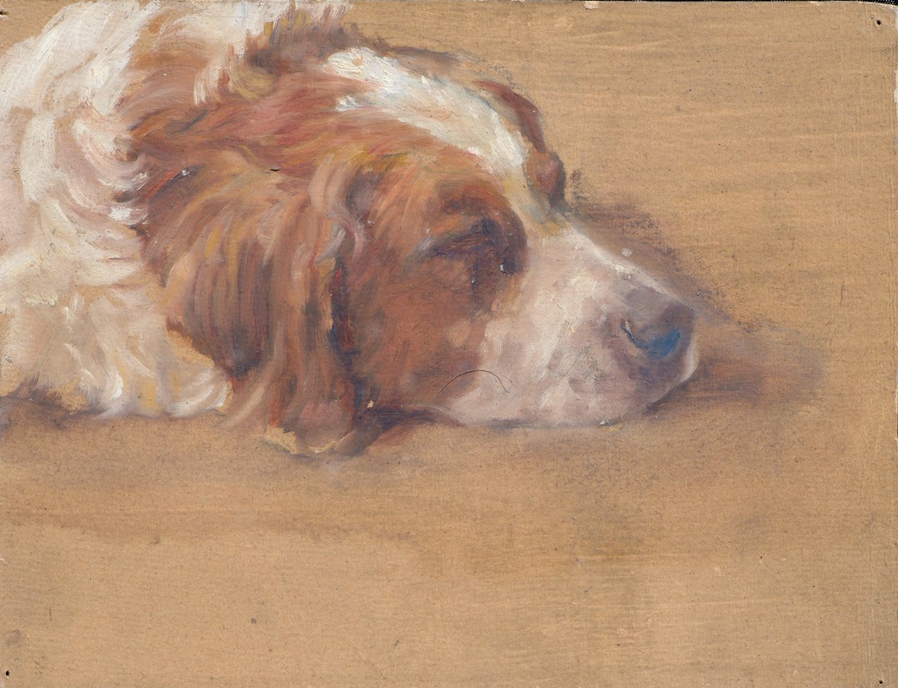 köpek kafası (çalışma) by Walther Gamerith