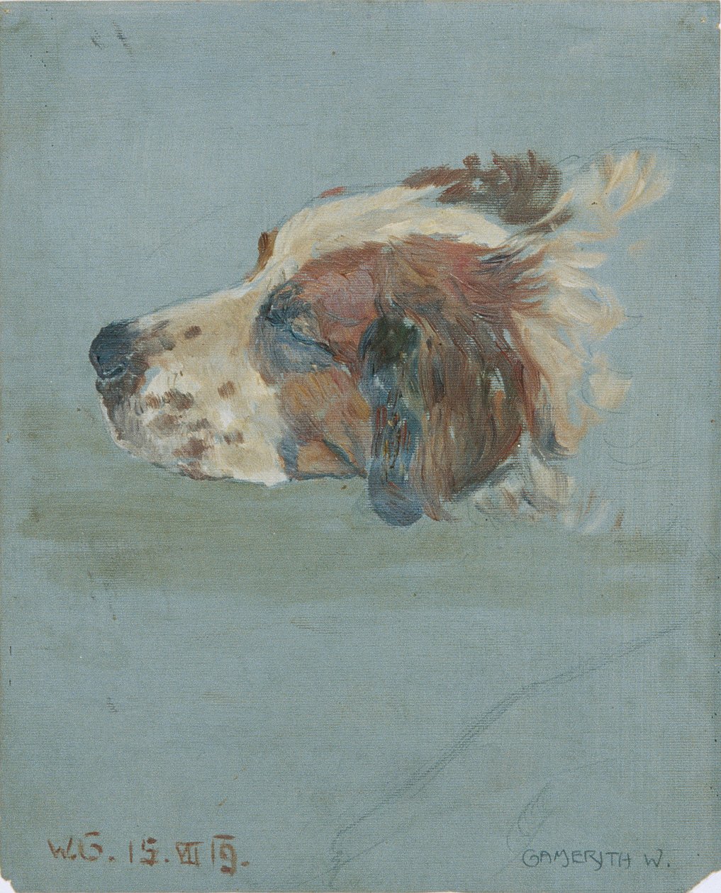 köpek kafası by Walther Gamerith