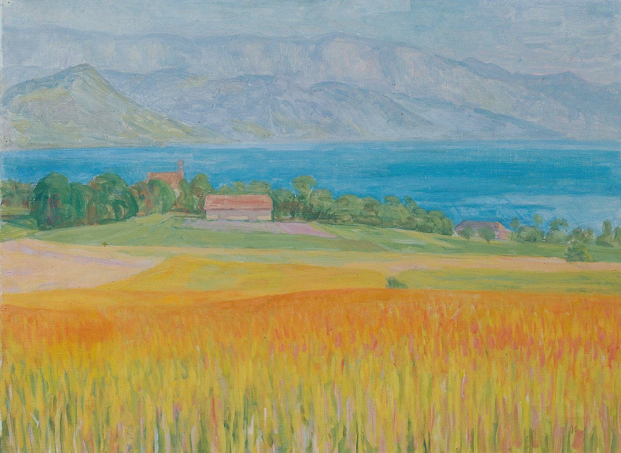 Kornfeld am Attersee by Walther Gamerith