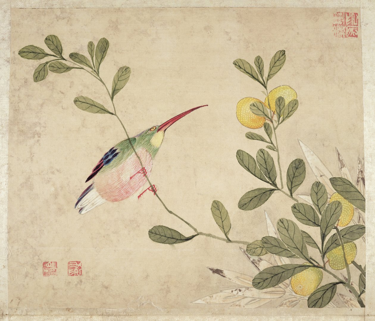 19. yüzyılın sonlarında bir dizi kuş ve meyve resminden biri by Wang Guochen