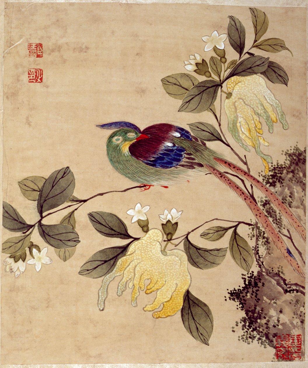 19. yüzyılın sonlarında kuş ve meyve resimlerinden biri by Wang Guochen