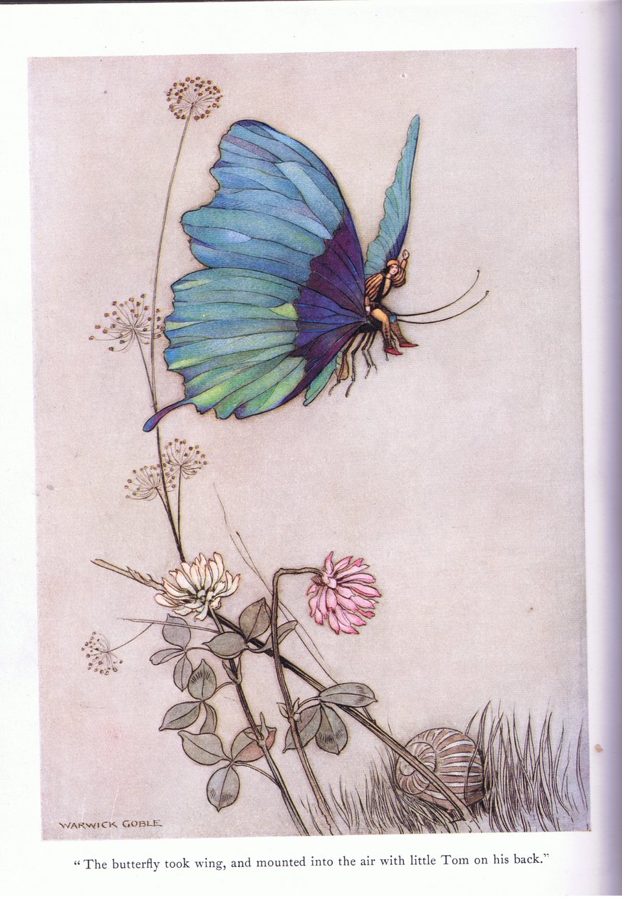 Kelebek kanatlandı by Warwick Goble