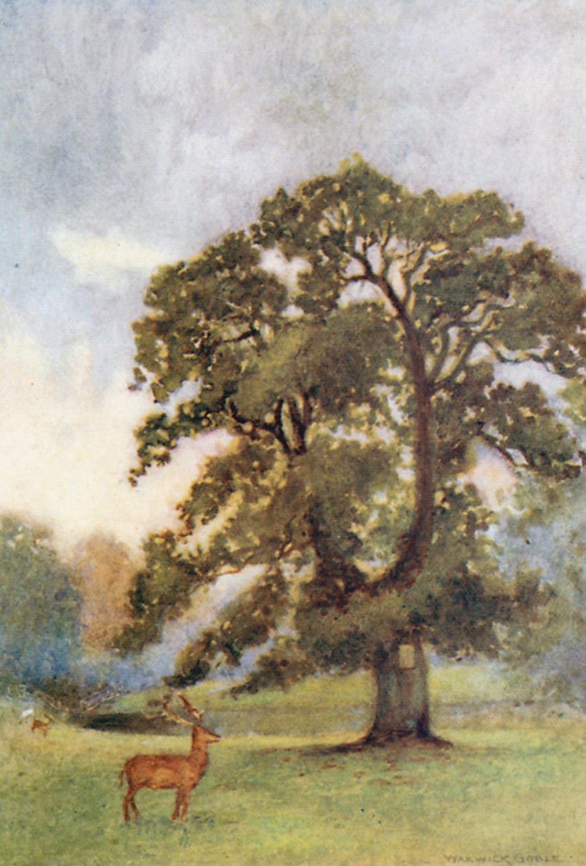  by Warwick (after) Goble