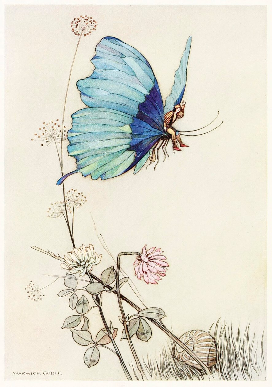 The Fairy Book