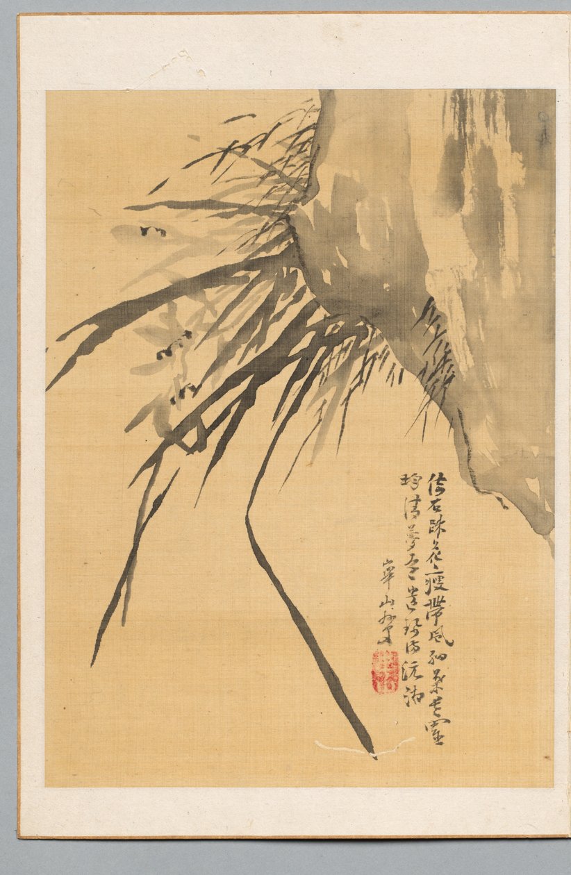Orkide, 19. yüzyıl. by Watanabe Kazan