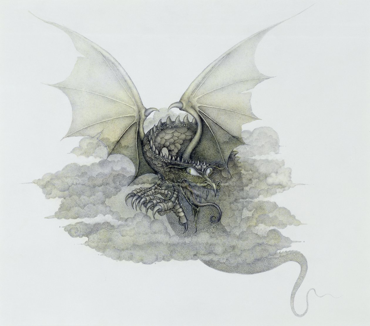  by Wayne Anderson