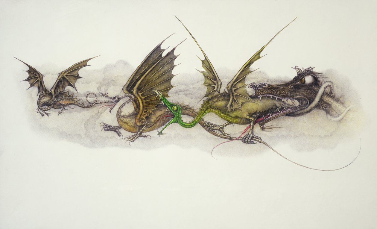  by Wayne Anderson