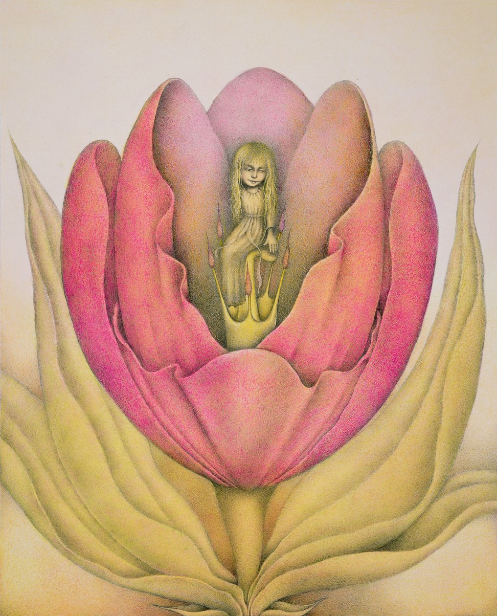  by Wayne Anderson