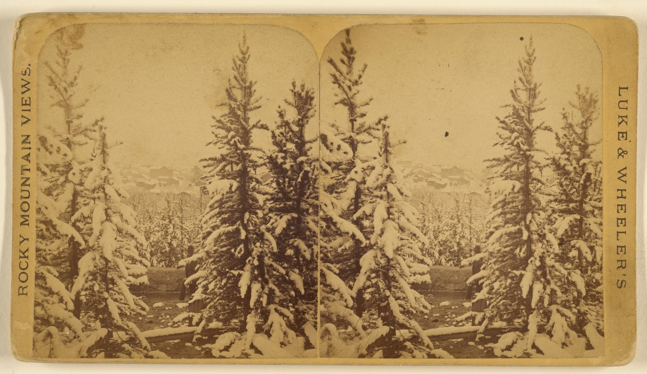  by Wellington O. Luke and Dansford Noble Wheeler