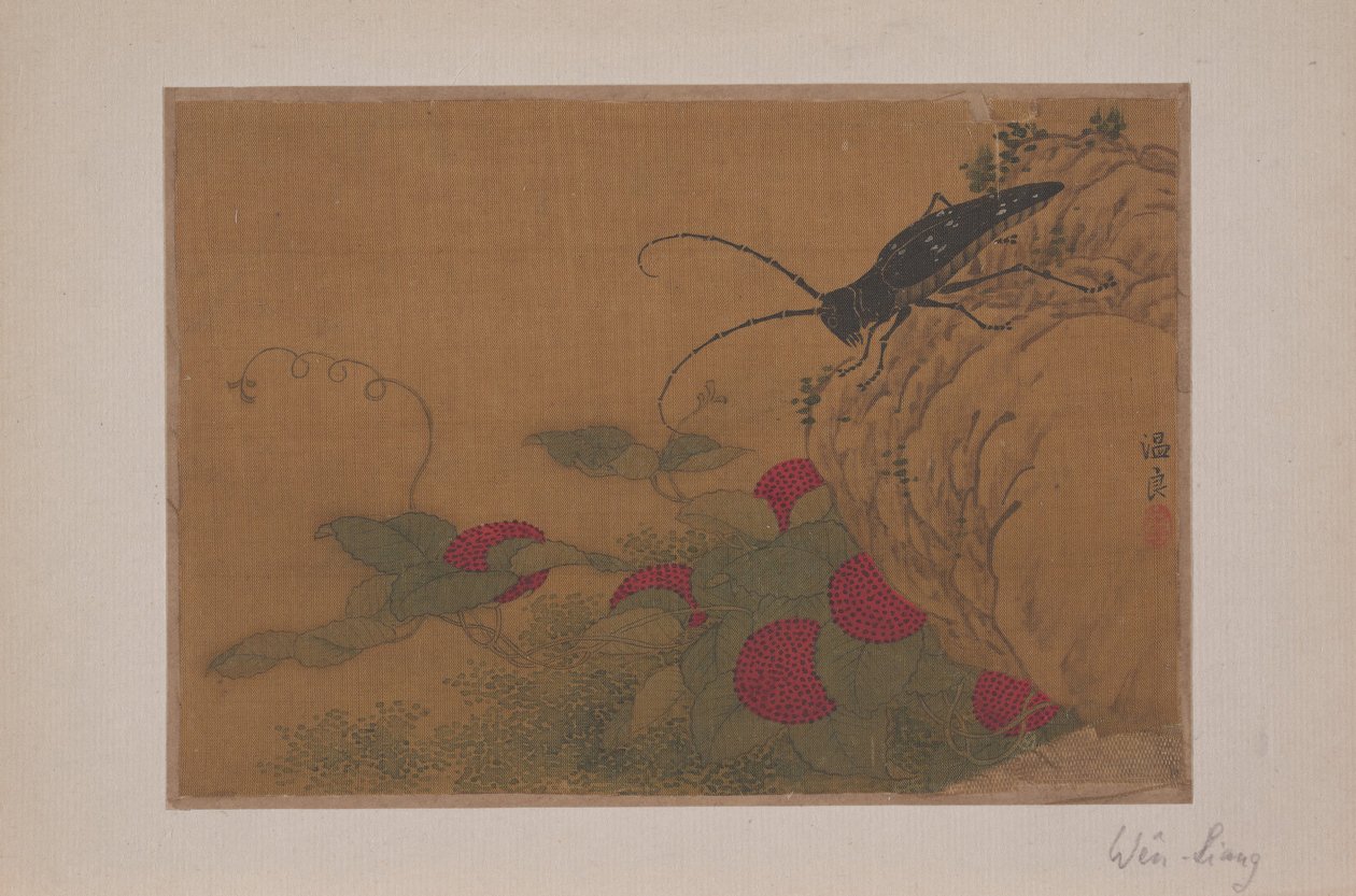Kayadaki Çekirge, 15. yüzyıl. by Wen Liang