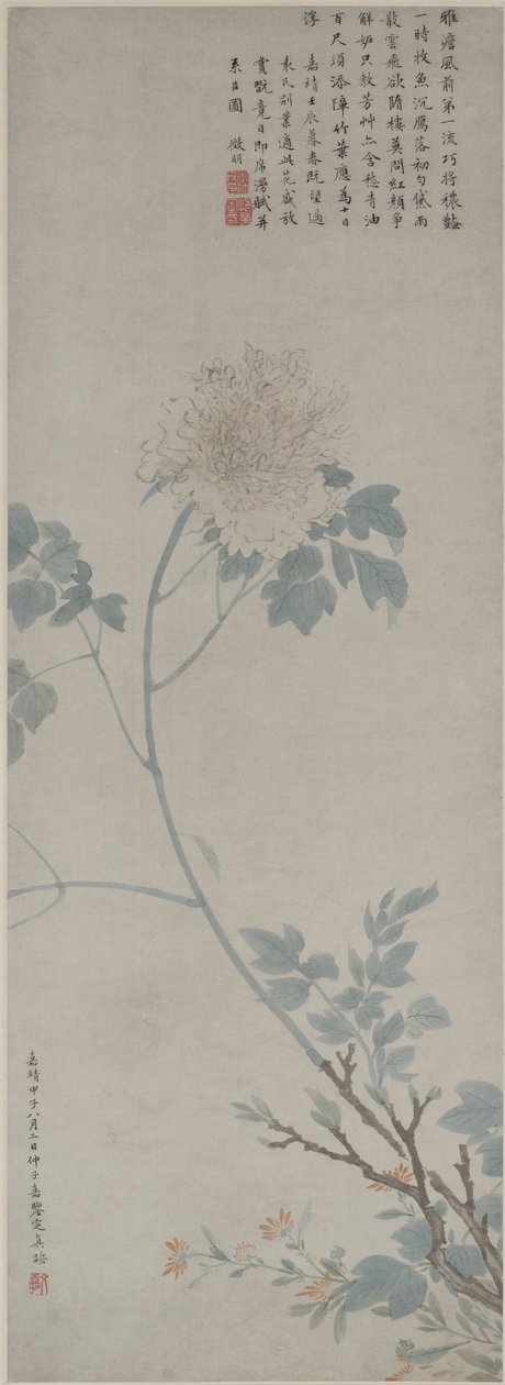 Şakayık, Asma Parşömen, 1532 (kağıt üzerine mürekkep ve renkli) by Wen Zhengming