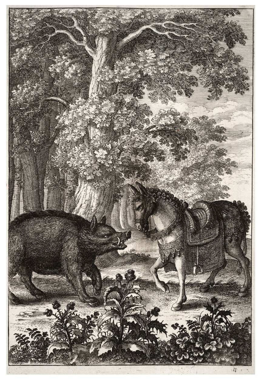 domuz ve eşek by Wenceslaus Hollar