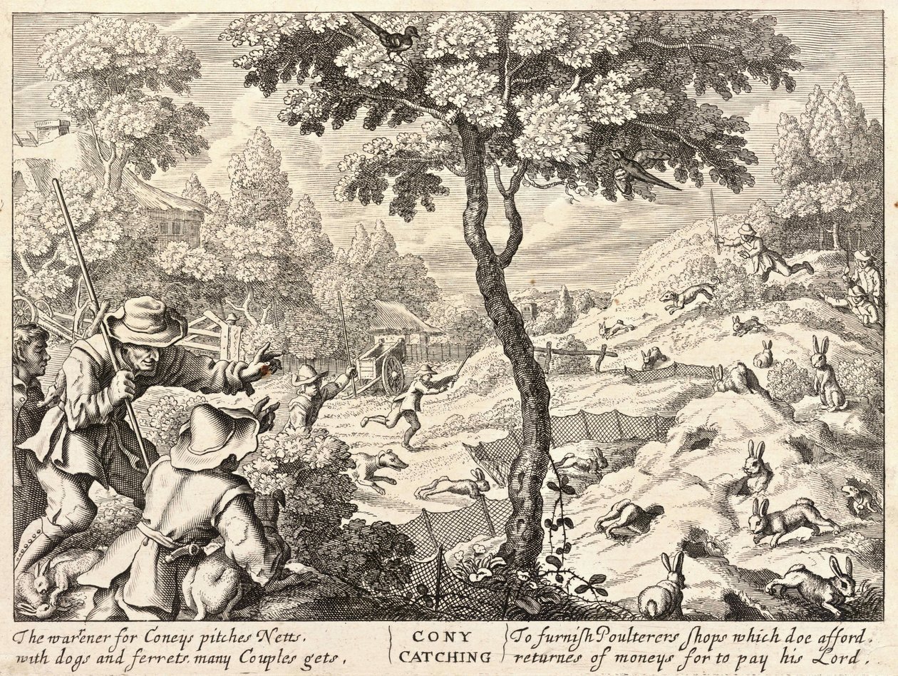koni yakalama by Wenceslaus Hollar