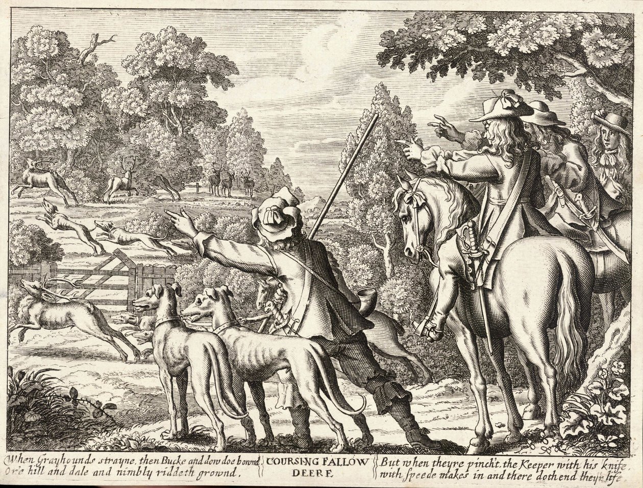 Alageyik by Wenceslaus Hollar