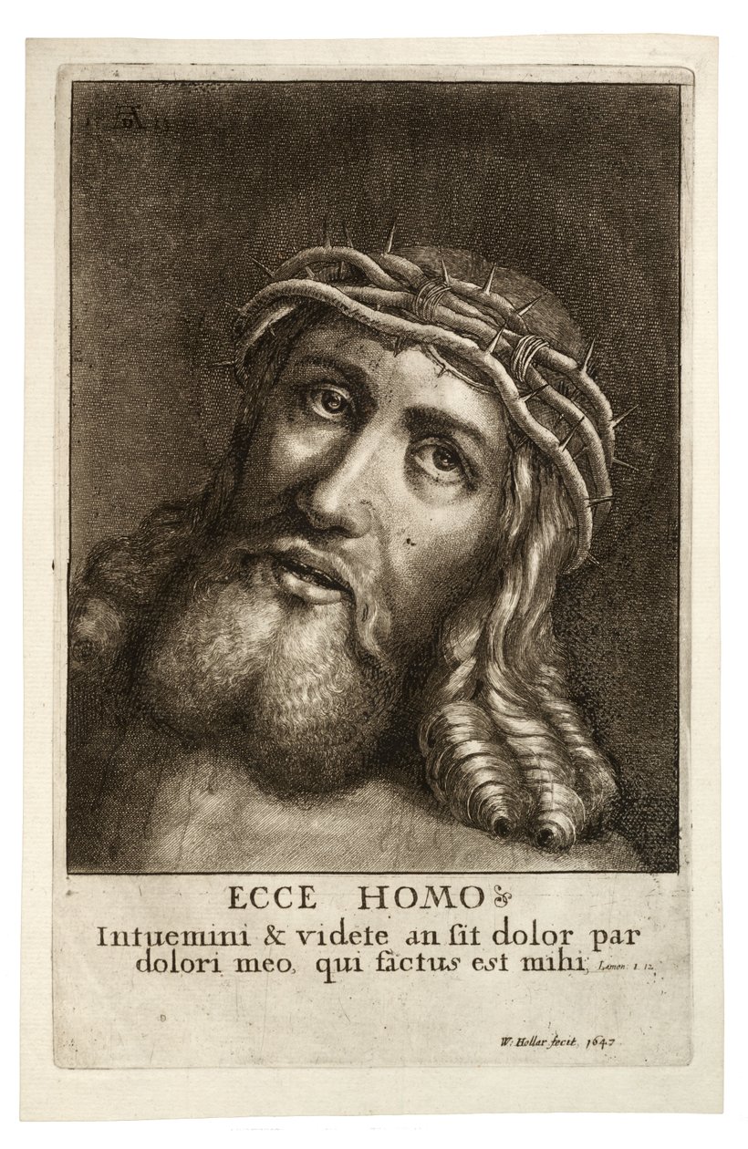 Adama bak. durum 2 by Wenceslaus Hollar