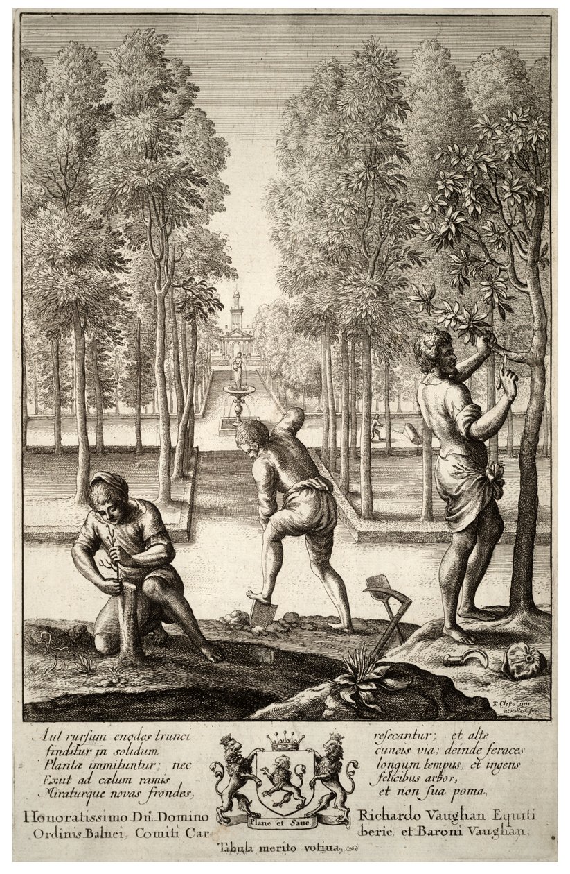 Bahçıvanlık. durum 1 by Wenceslaus Hollar