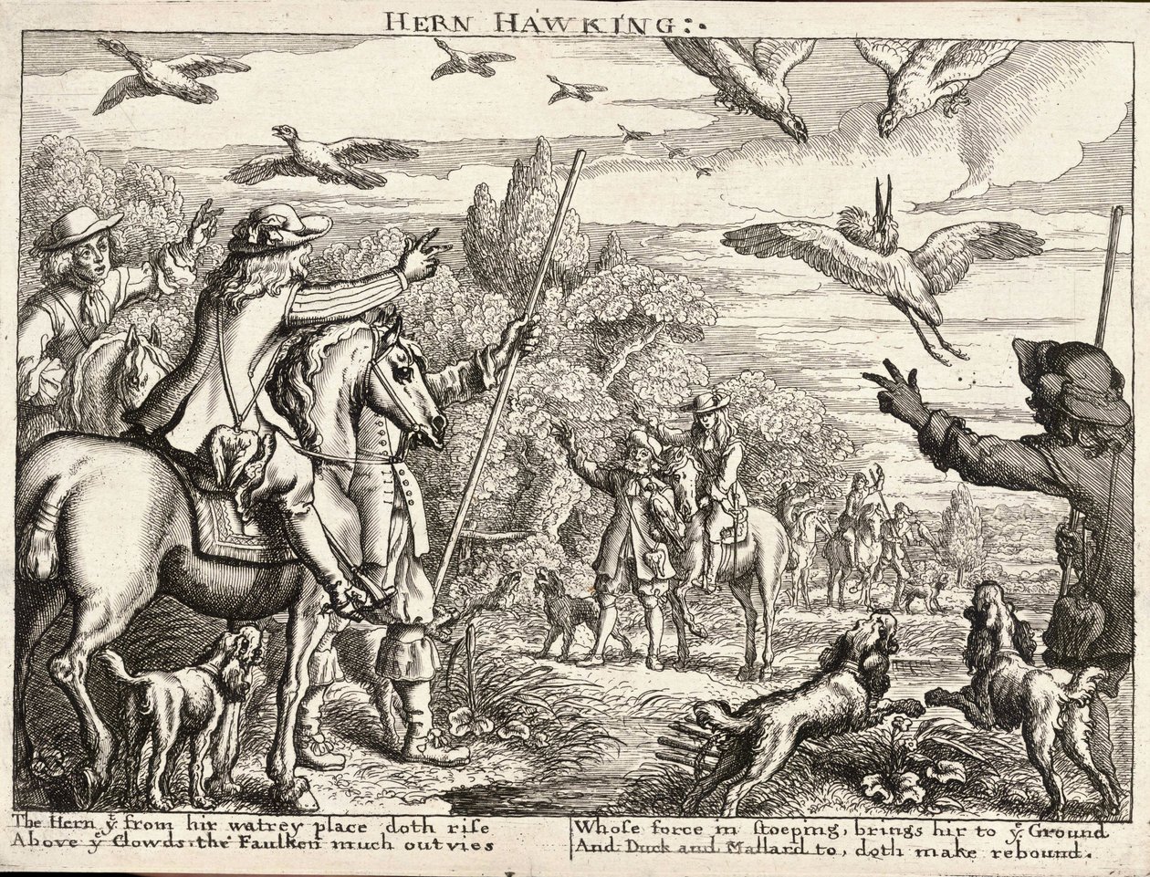 fıtık avcılığı by Wenceslaus Hollar