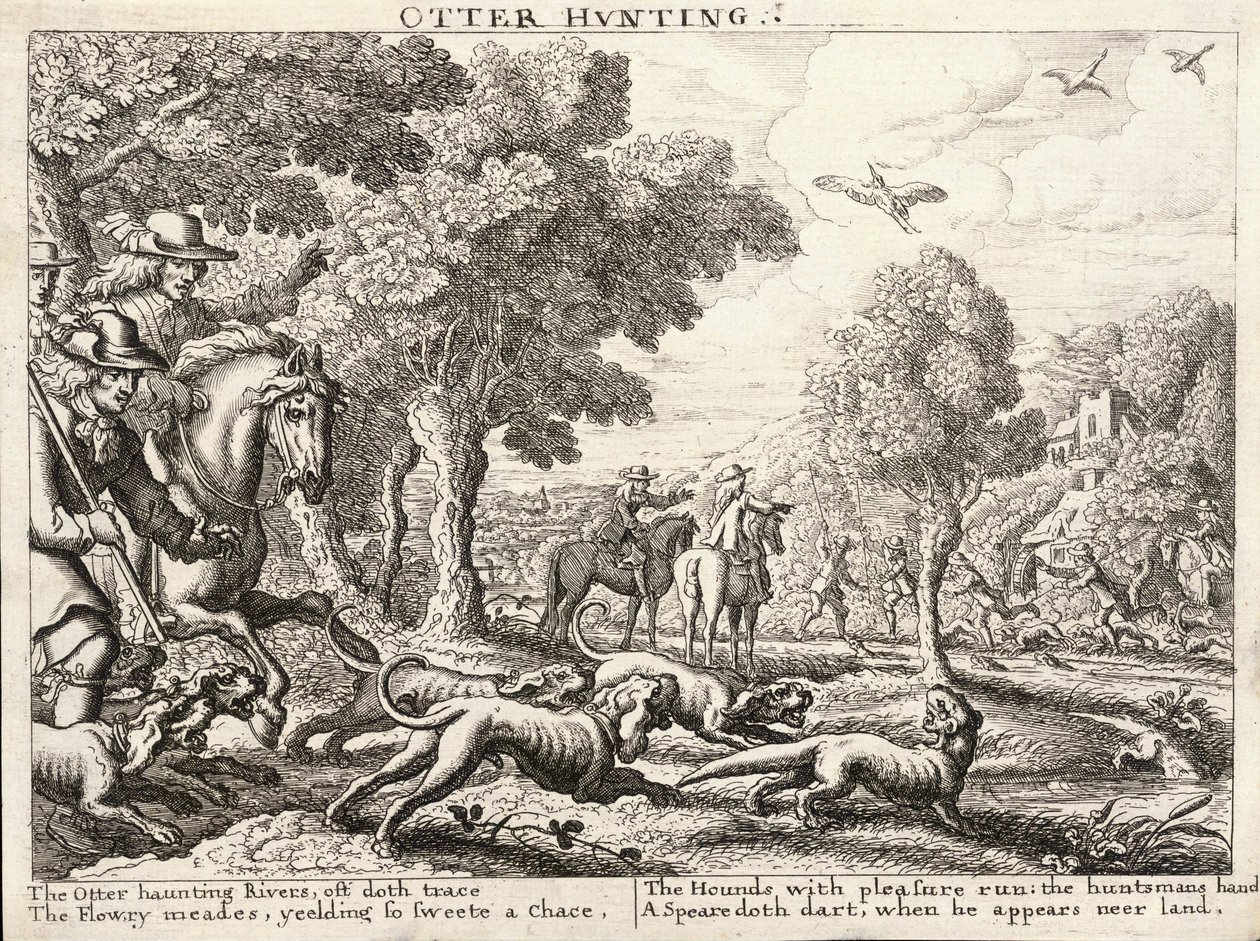 su samuru avı by Wenceslaus Hollar
