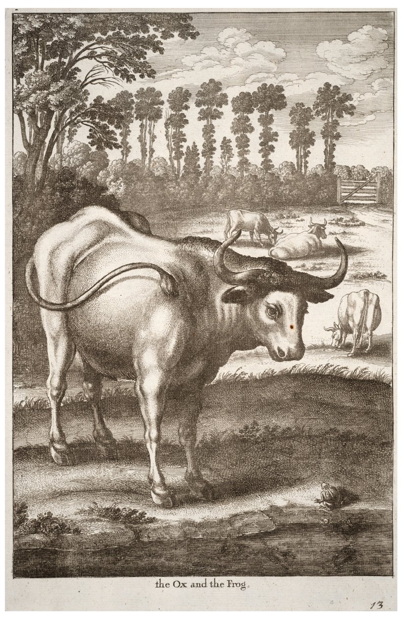 öküz ve kurbağa by Wenceslaus Hollar