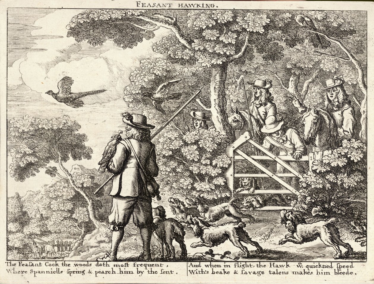 sülün avcılığı by Wenceslaus Hollar