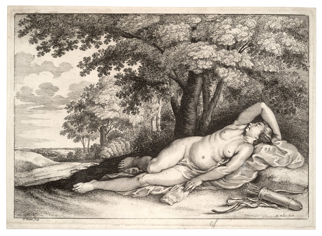 Uyuyan avcı. durum 2 by Wenceslaus Hollar