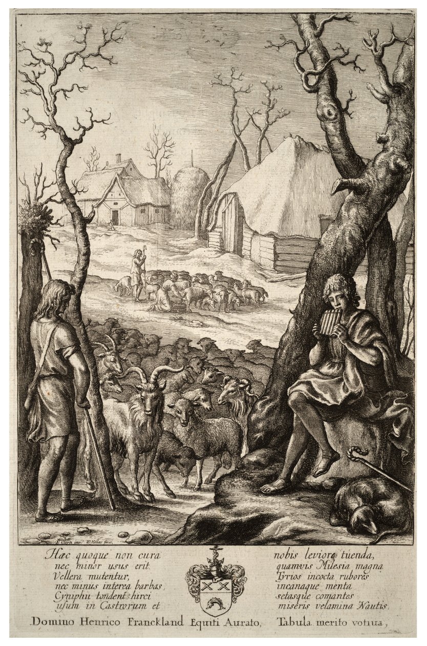 Hayvancılık. durum 1 by Wenceslaus Hollar