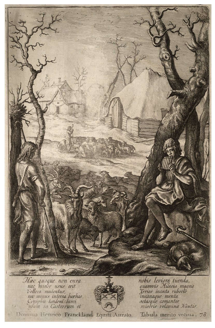 Hayvancılık. durum 3 by Wenceslaus Hollar