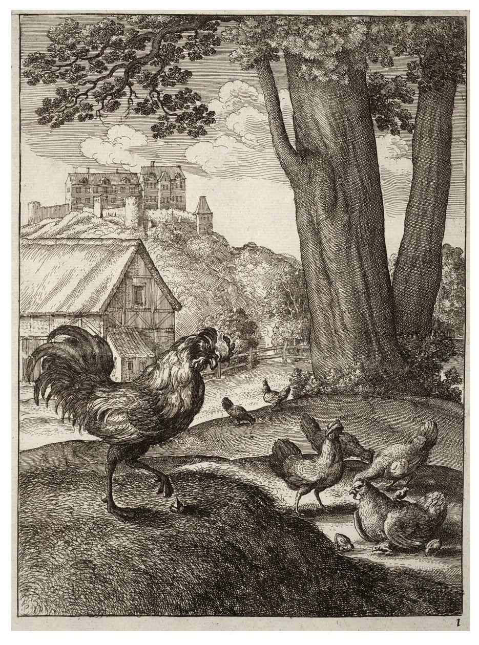horoz ve mücevher by Wenceslaus Hollar
