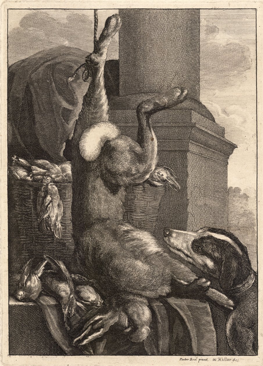 Ölü tavşan. durum 3 by Wenceslaus Hollar