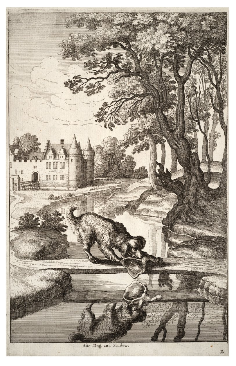 Köpek ve onun yansıması by Wenceslaus Hollar