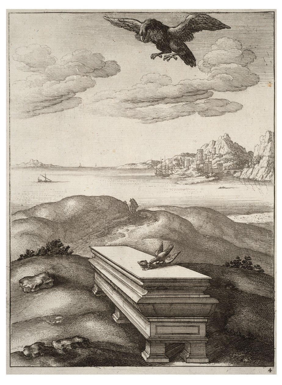 kartal ve daw by Wenceslaus Hollar