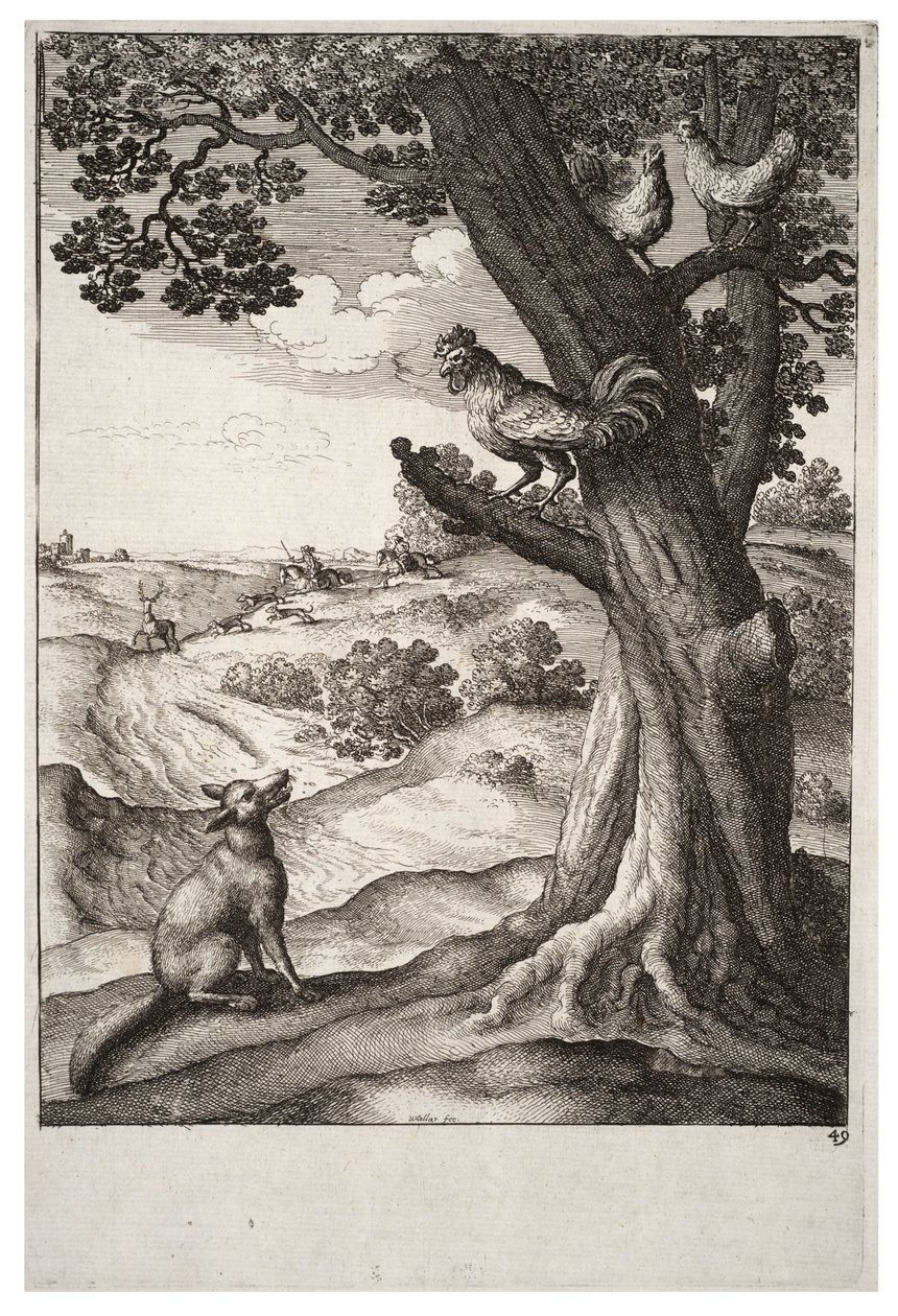 Partridge hawking by Wenceslaus Hollar