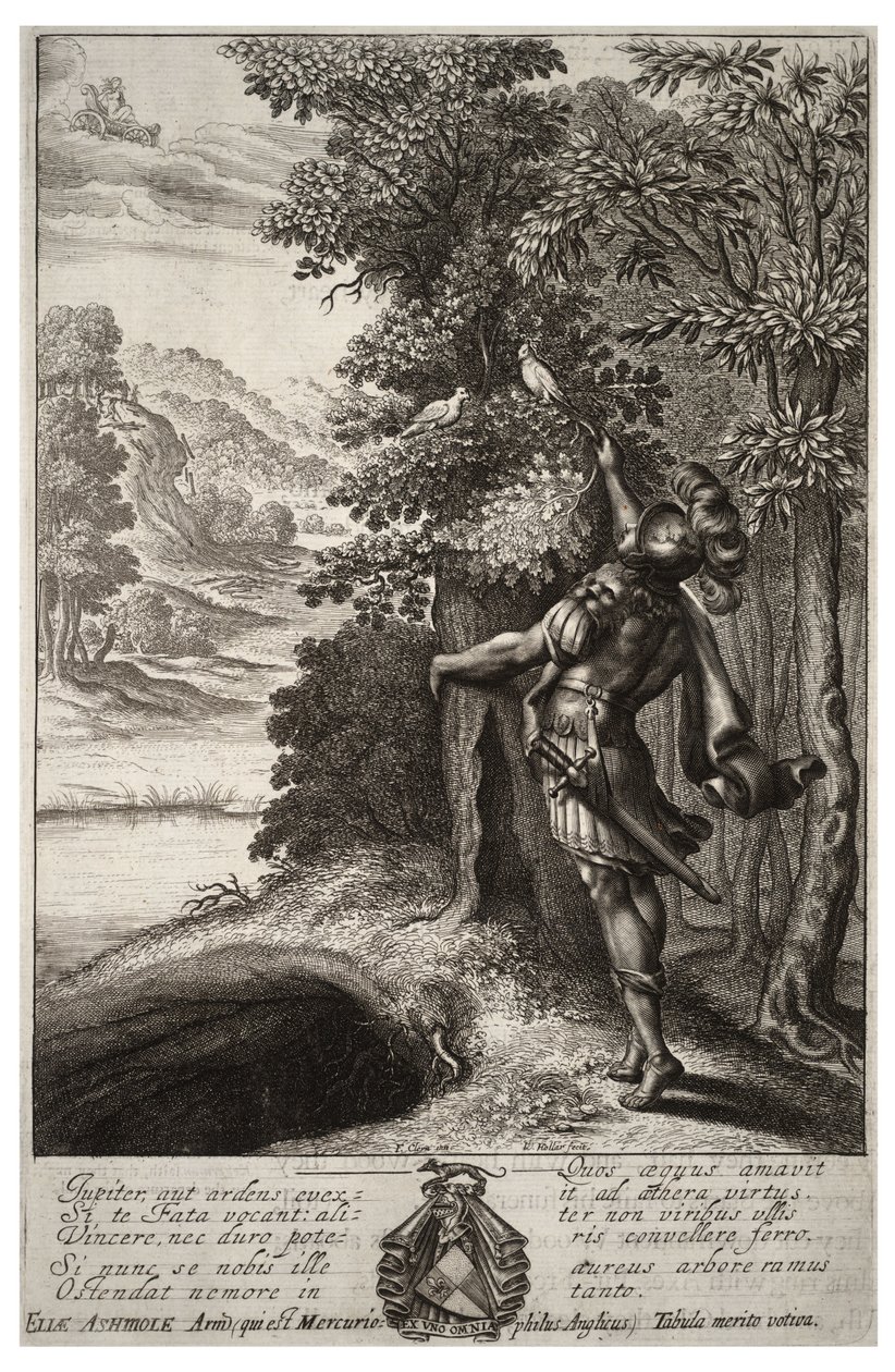 Altın dal. durum 1 by Wenceslaus Hollar