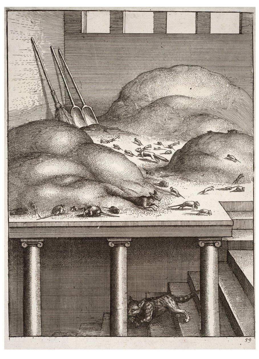 Eski gelincik ve fareler by Wenceslaus Hollar