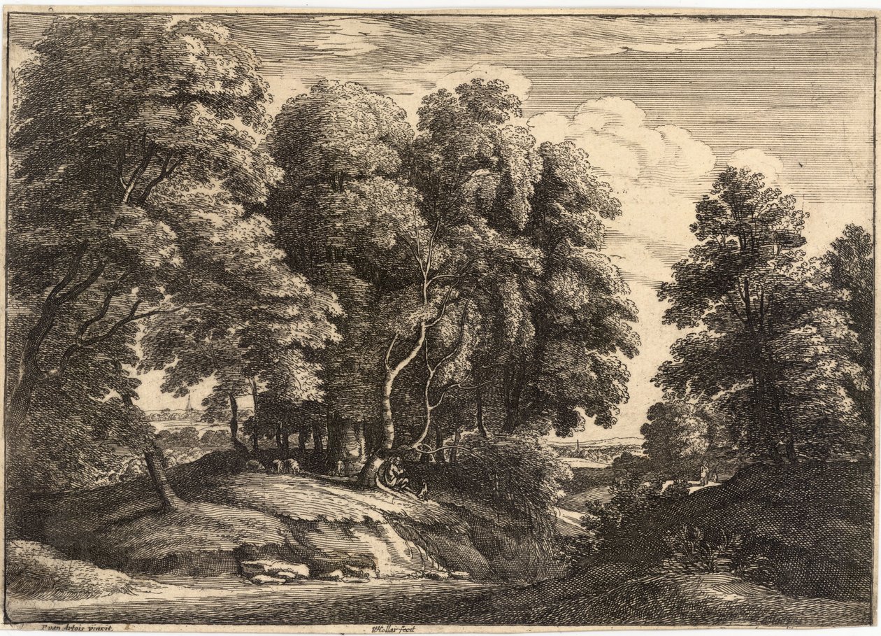 Ormandaki çoban by Wenceslaus Hollar