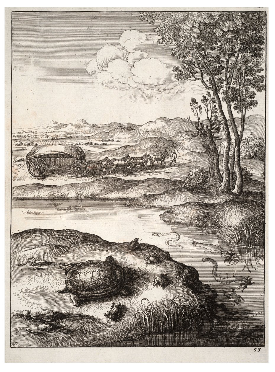 Kaplumbağa ve kurbağalar by Wenceslaus Hollar