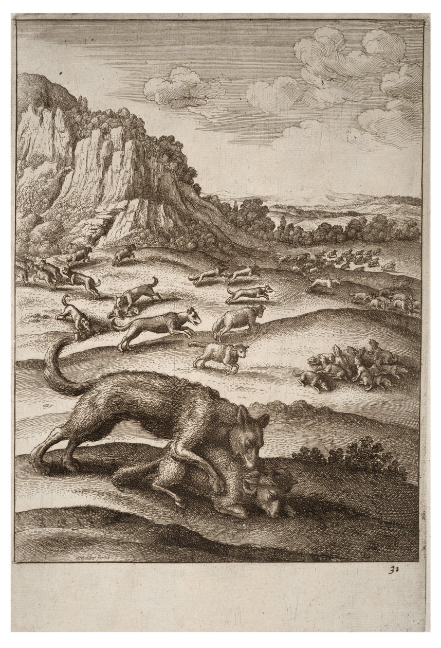 kurtlar ve koyunlar by Wenceslaus Hollar