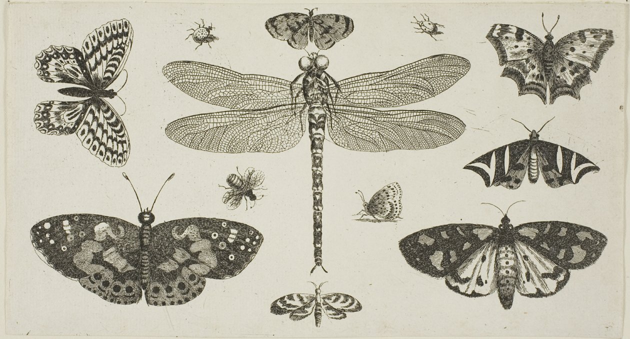  by Wenceslaus Hollar