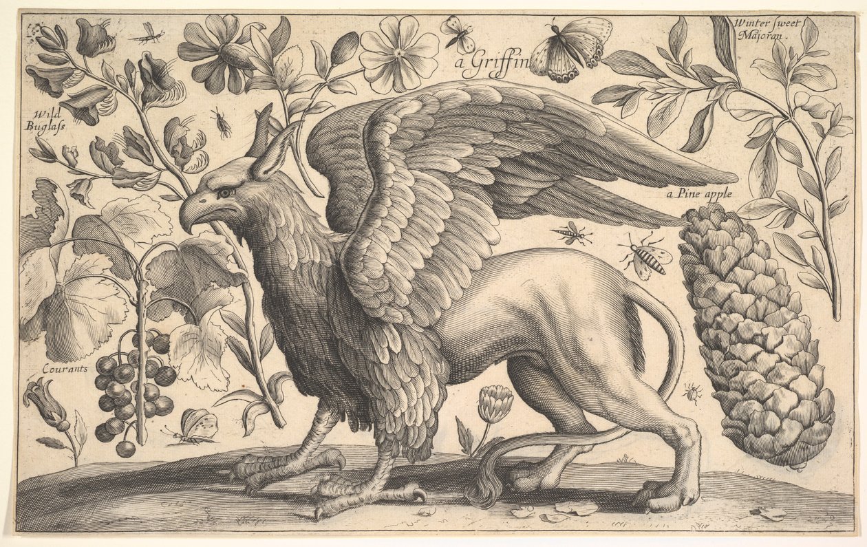Bir Griffin, 1625-77. by Wenceslaus Hollar
