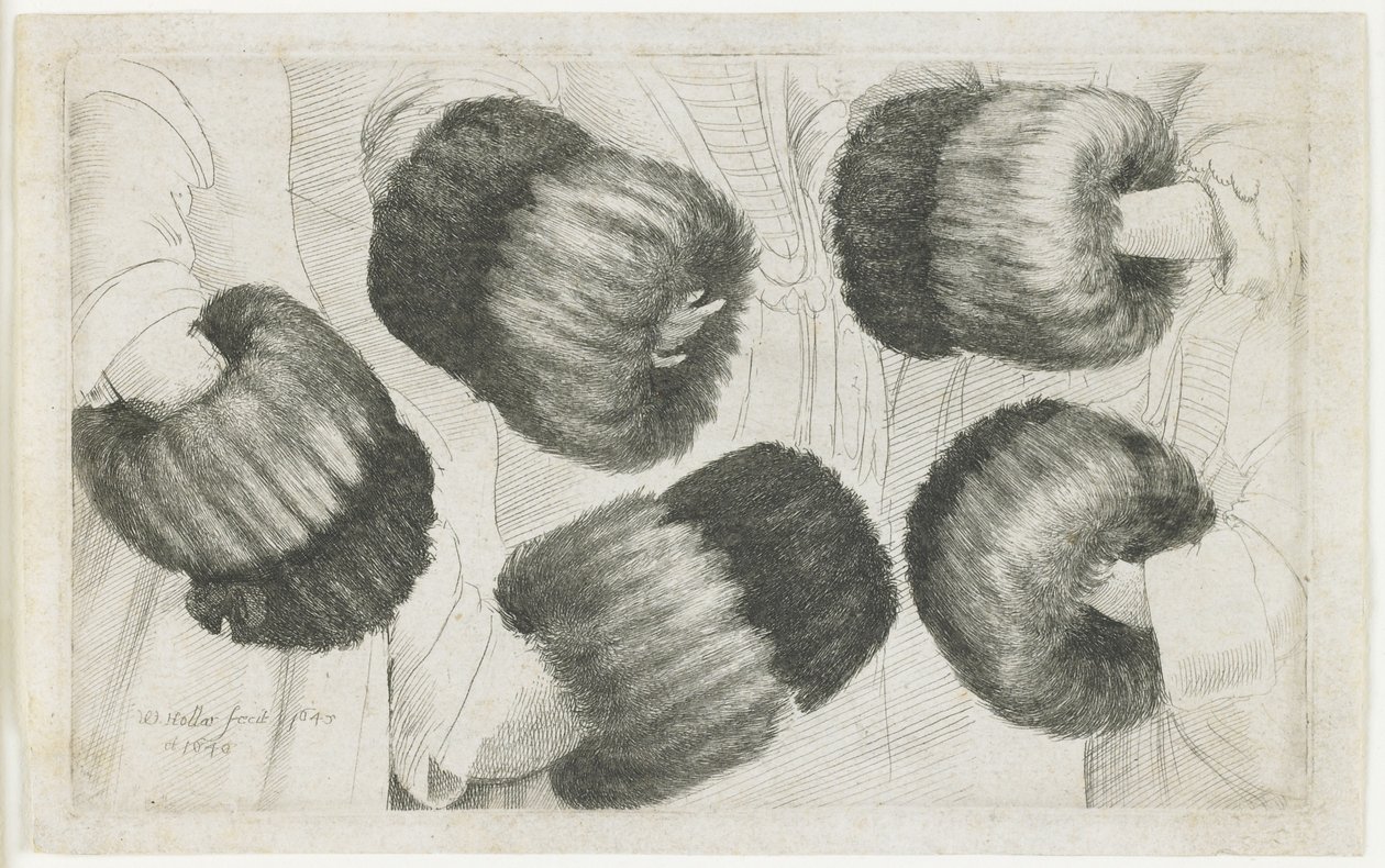 Beş Görünümde Bir Muff, 1645-1646 by Wenceslaus Hollar