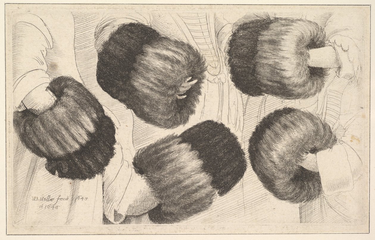 Beş Görünümde Bir Muff, 1645-46. by Wenceslaus Hollar
