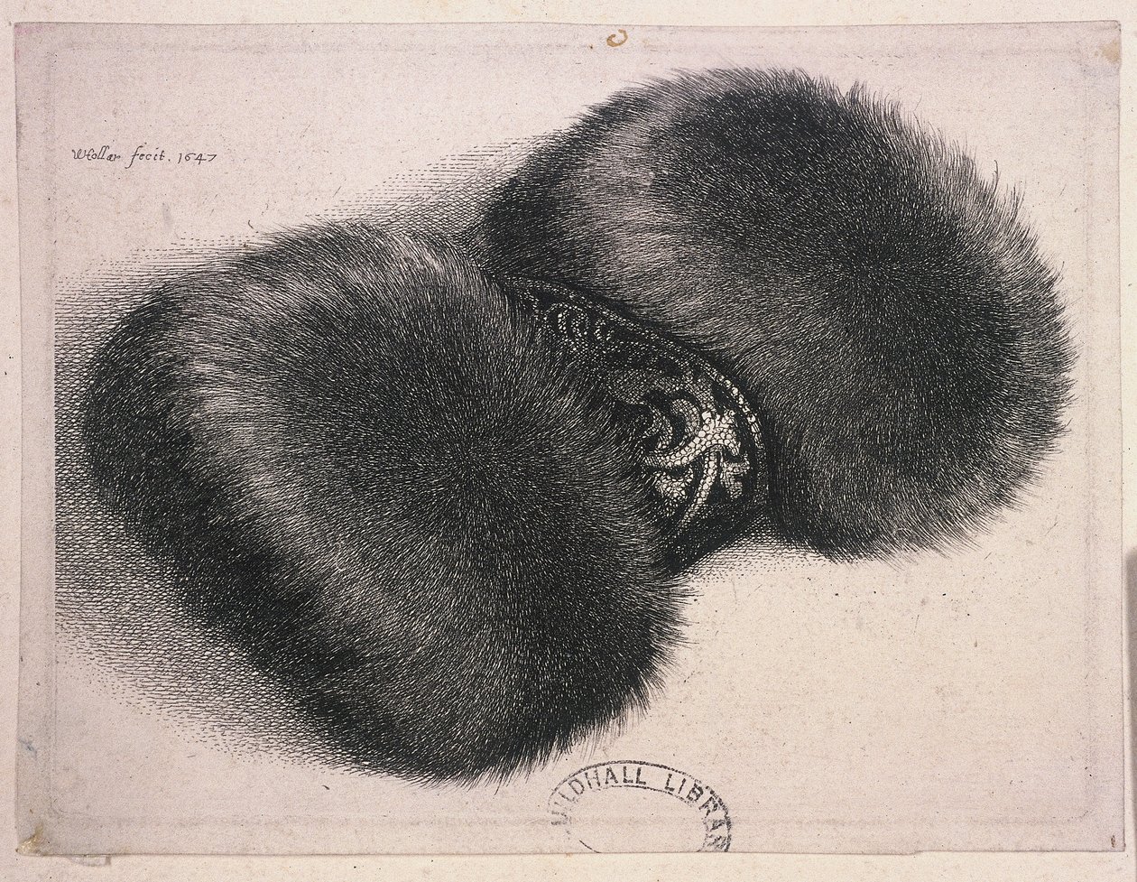 Bir bant brokar ile büyük bir manşon, 1647 by Wenceslaus Hollar