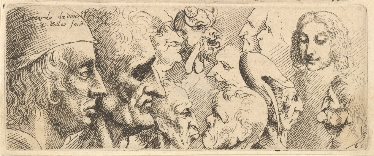 Çeşitli kafalar, 1625-77. by Wenceslaus Hollar