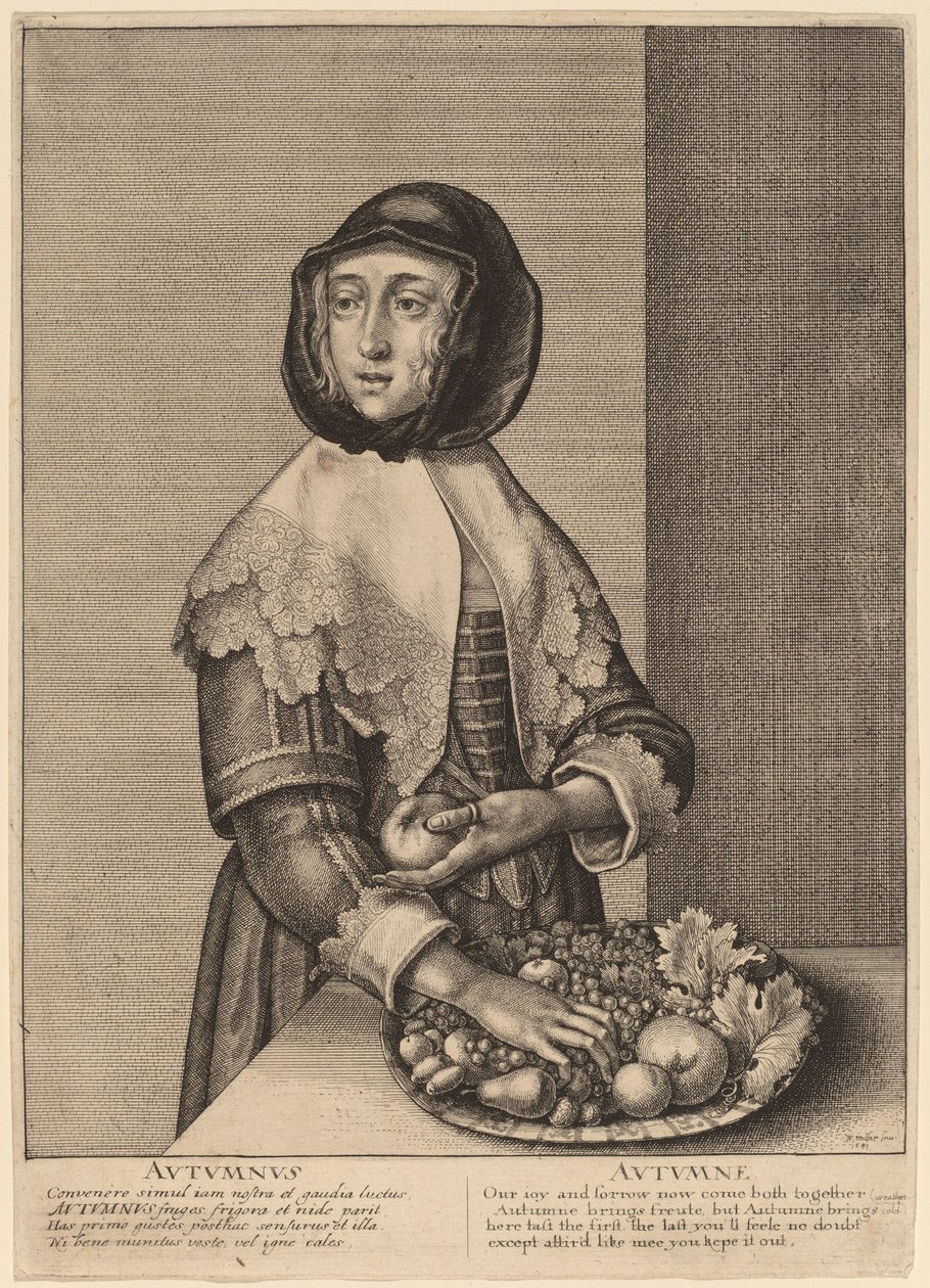 Sonbahar by Wenceslaus Hollar