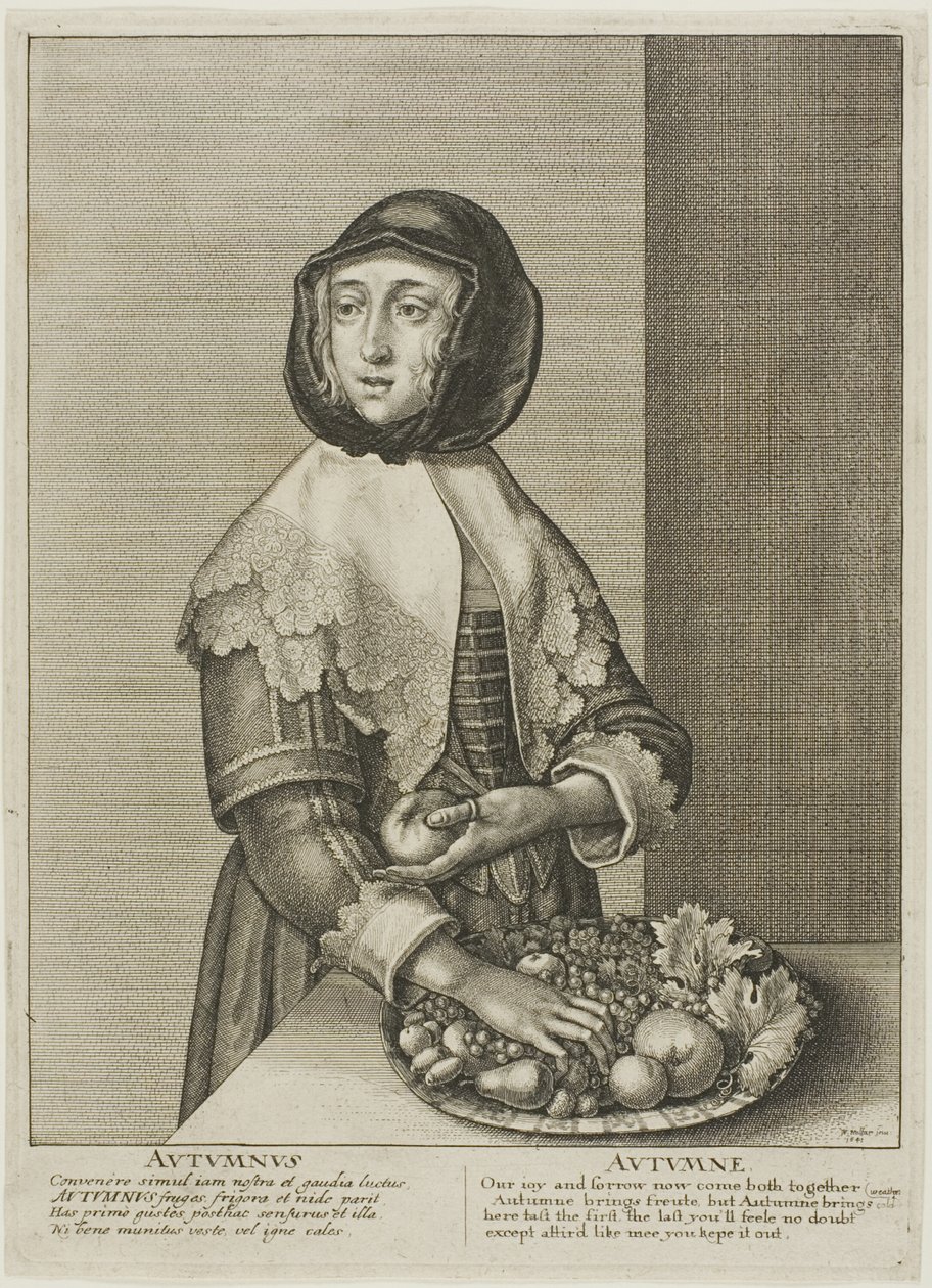 Sonbahar mevsimi by Wenceslaus Hollar