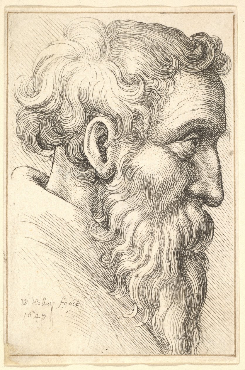 Sağdaki profilde sakallı yaşlı adam, 1645. by Wenceslaus Hollar