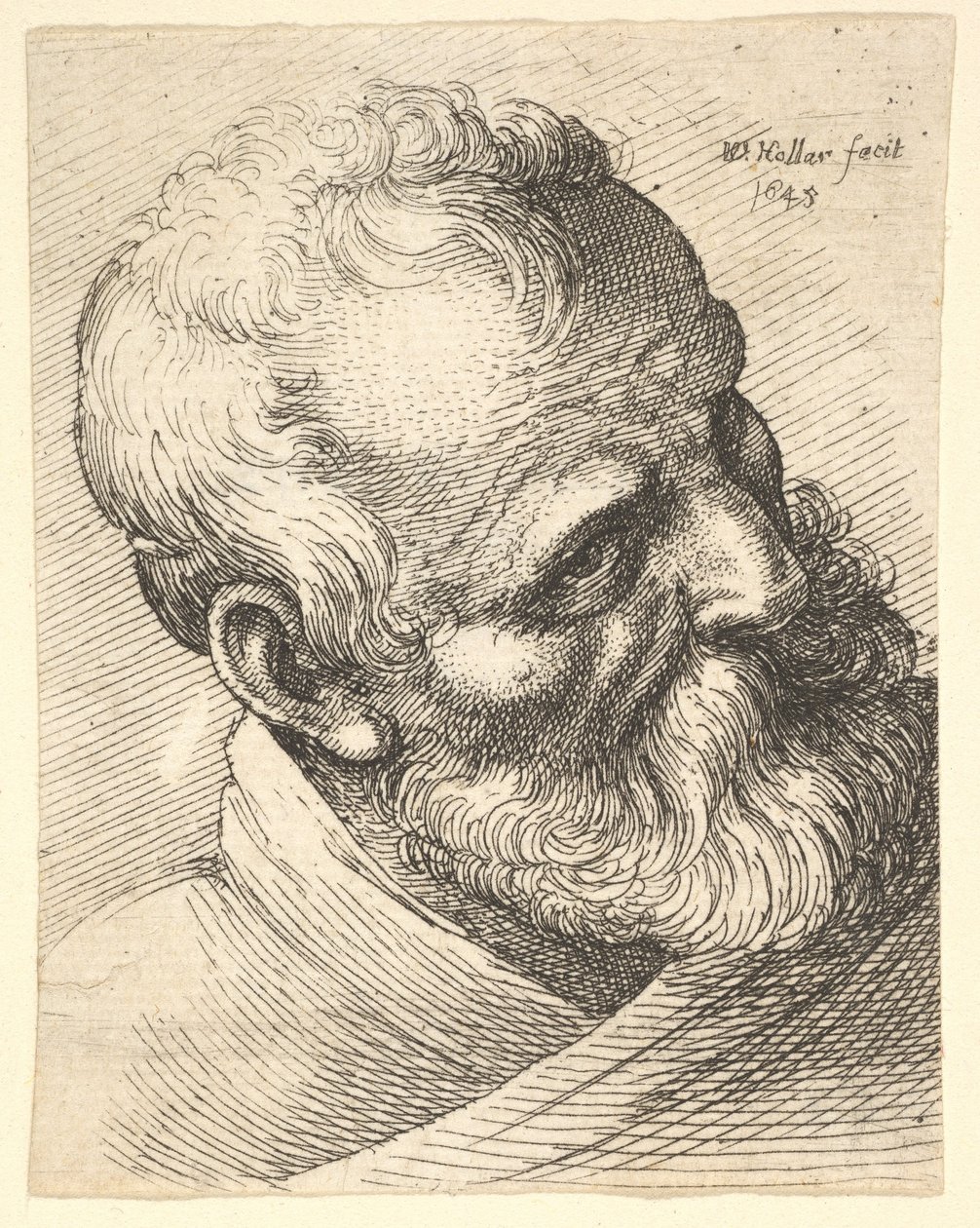 Başı eğik sakallı yaşlı adam, 1645. by Wenceslaus Hollar