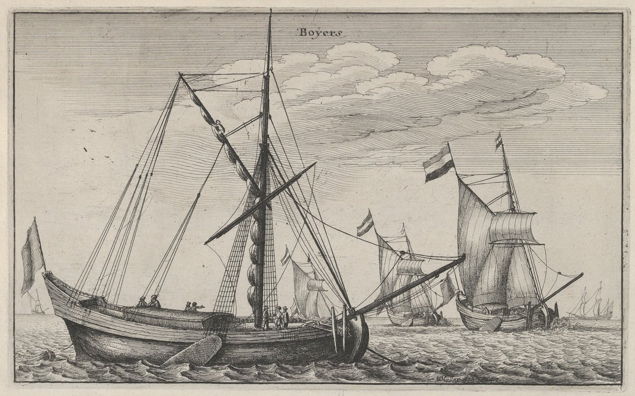 Boÿers, 1647., 1647. by Wenceslaus Hollar