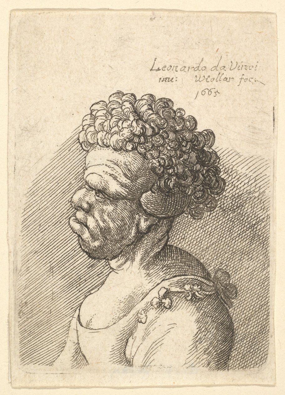 Soldaki profilde kıvırcık saçlı, deforme olmuş bir kadının büstü, 1665. by Wenceslaus Hollar