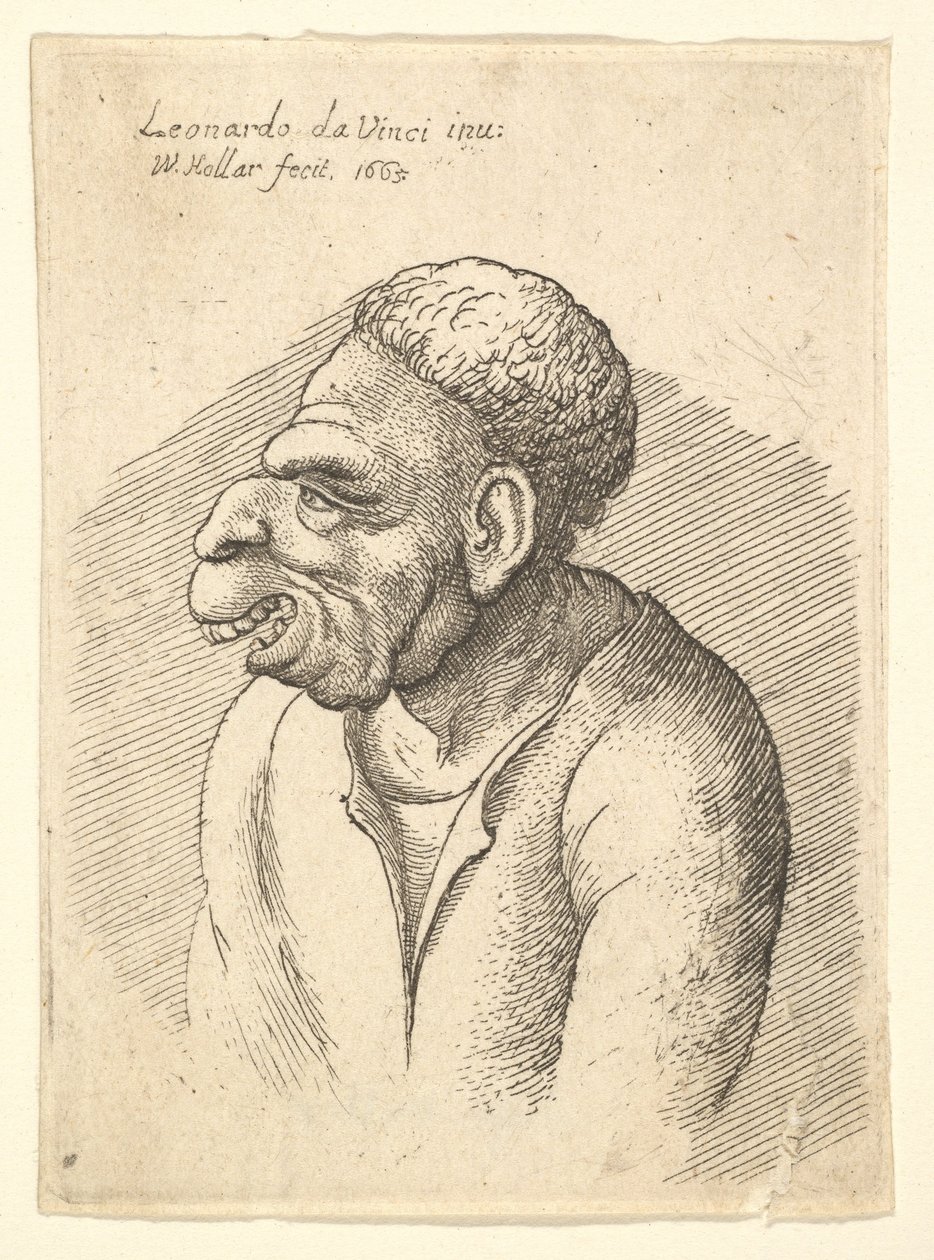 Kavisli burunlu, üst dudağı çıkık, ağzı açık, kısa kıvırcık saçlı erkek büstü..., 1665. by Wenceslaus Hollar